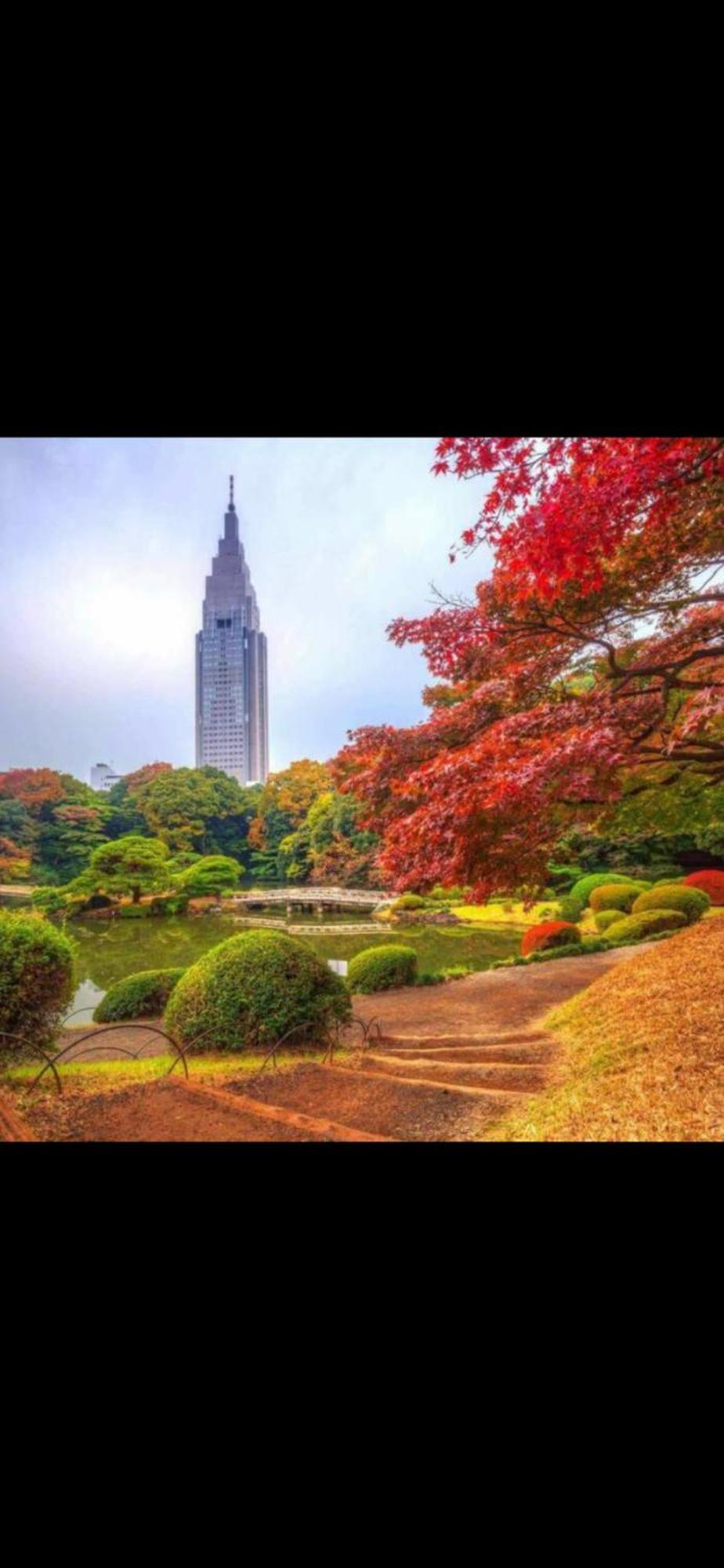 新宿安靜の家-A Quiet Home In Shinjuku - A 26 Square Meter Double Bed Room That Feels Like Home Токио Экстерьер фото
